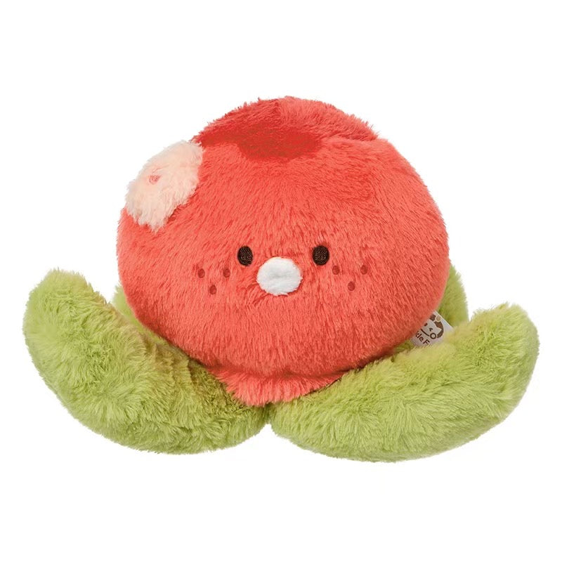 【Official Pre-sale】Twinkle Fair x MINISO Plushies 15cm 20cm 40cm 60cm