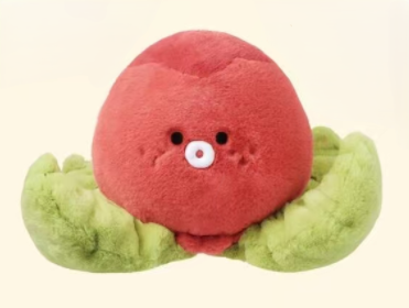 【Official】Twinkle Fair x MINISO Plushies 15cm 20cm 40cm 60cm