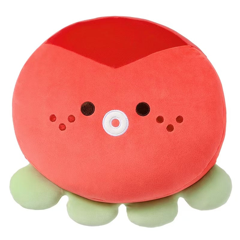 【Official】Twinkle Fair x MINISO Pillow